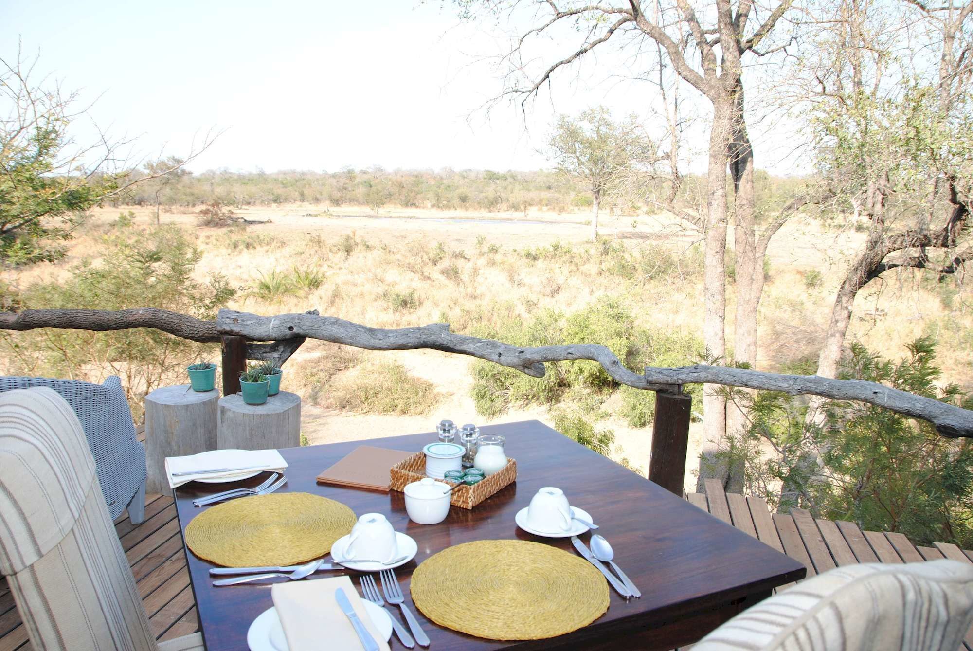 Simbambili Game Lodge 마니엘레티 게임 리저브 외부 사진